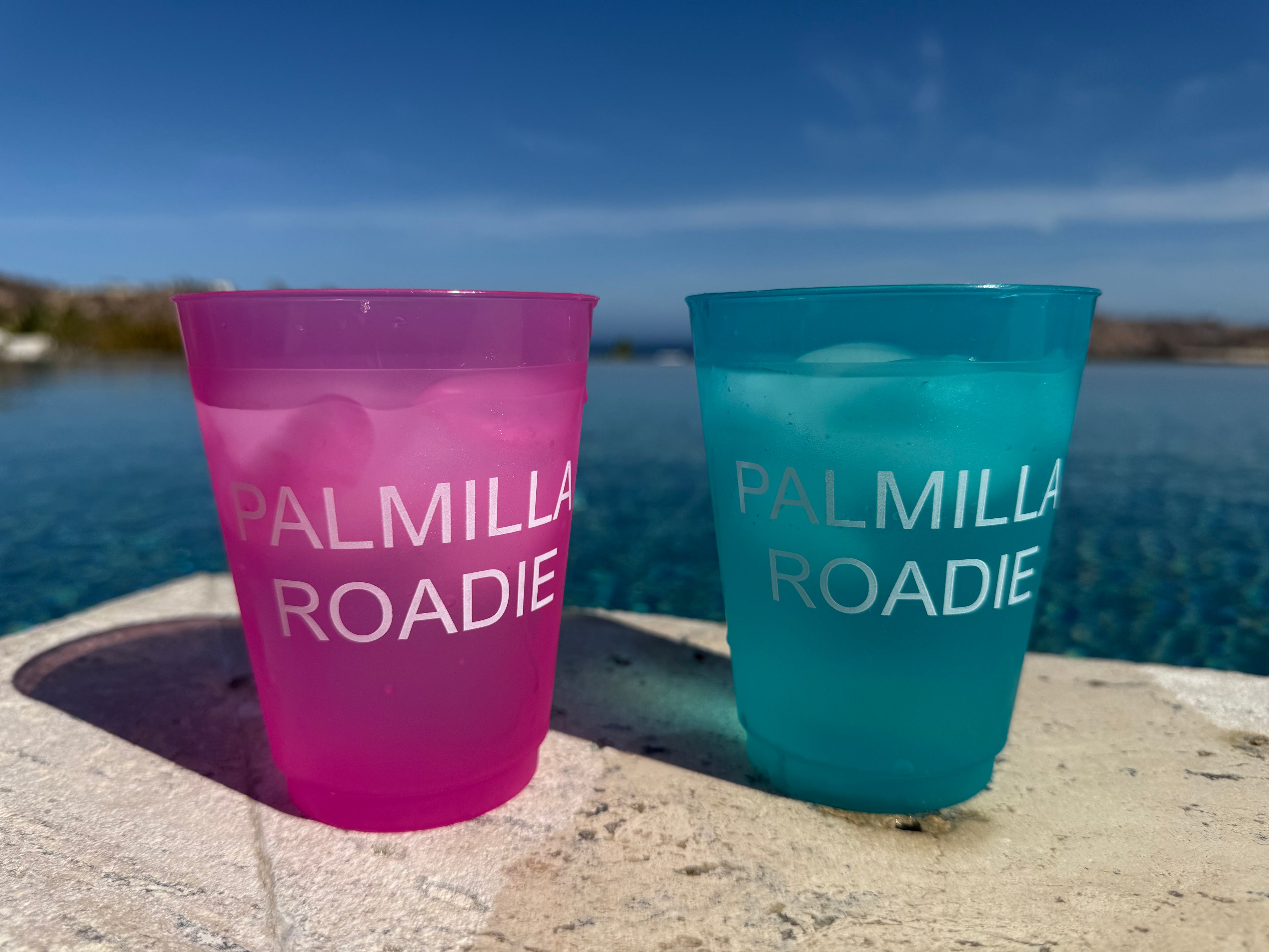 Palmilla Roadie Frosted Cups
